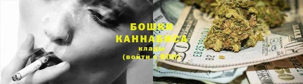 индика Бабаево