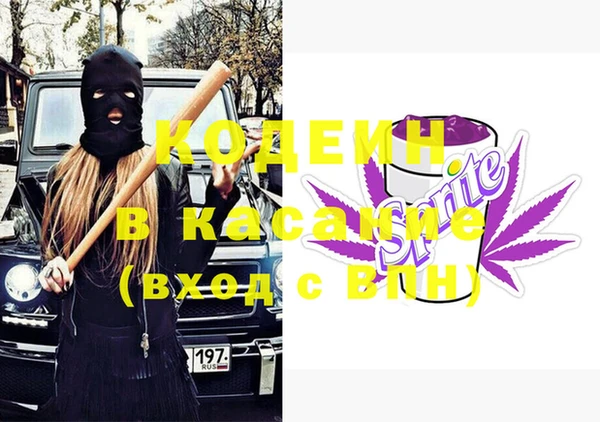 гашик Нея