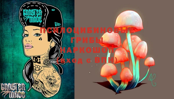2c-b Нефтекумск