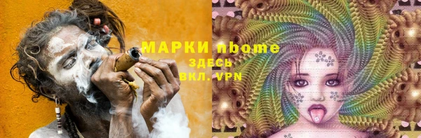 гашик Нея