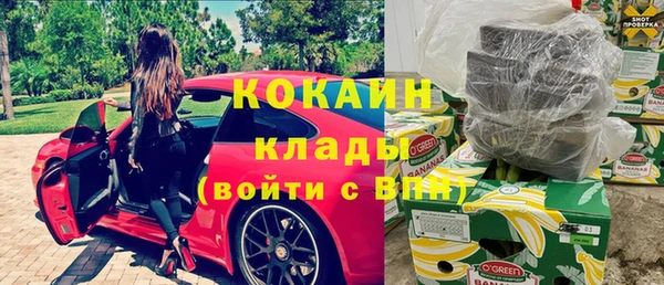 гашик Нея