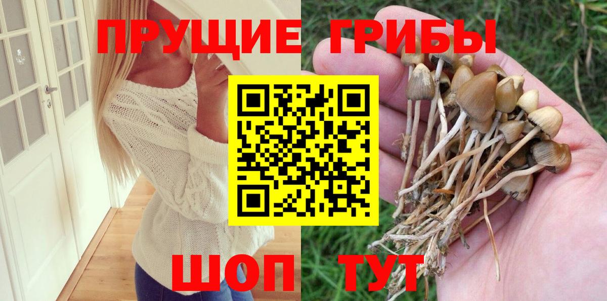 Псилоцибиновые грибы GOLDEN TEACHER Алапаевск